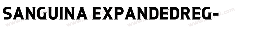Sanguina ExpandedReg字体转换